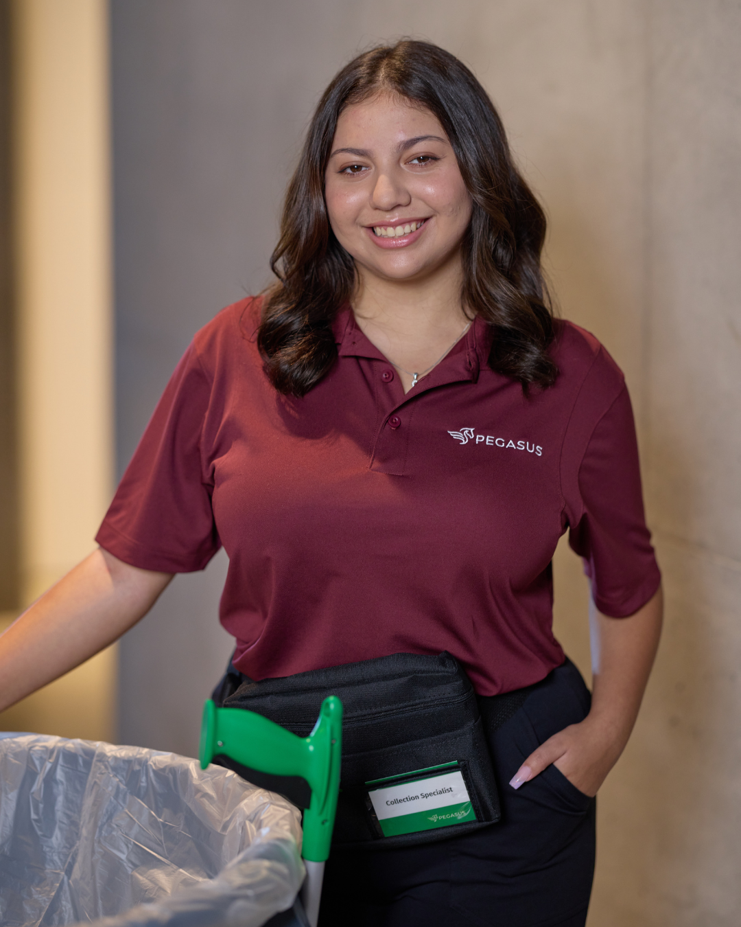 Pegasus Cleaning Specialist