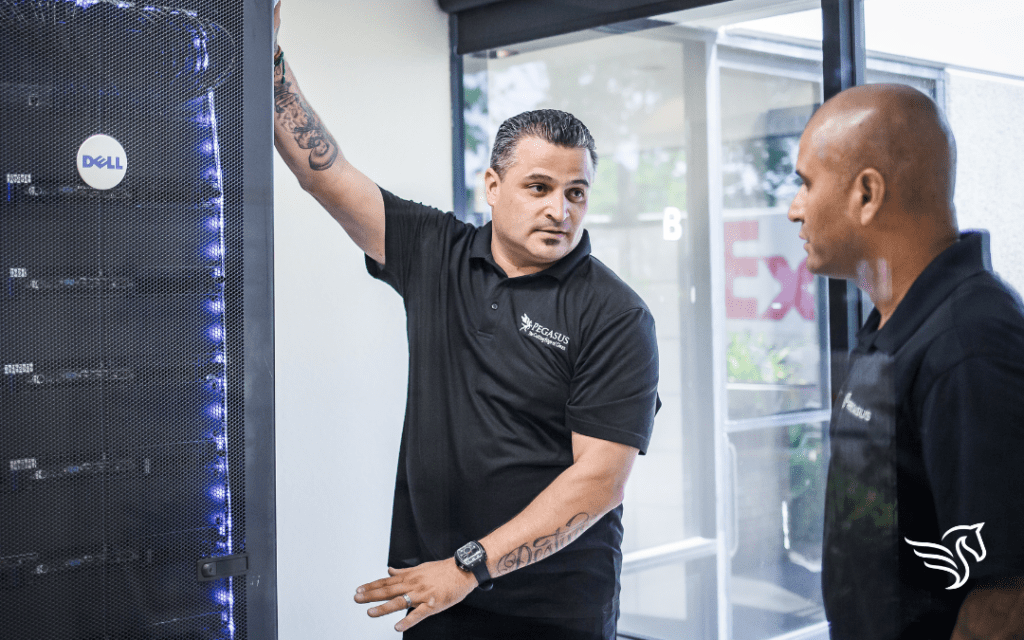 Pegasus Cleaning Specialist Training Data and AI centers